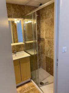 a bathroom with a shower and a sink at Maison Ardiden in Luz-Saint-Sauveur