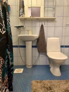 拉赫蒂的住宿－Huoneisto Jalkarannassa，一间带卫生间和水槽的浴室