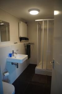 y baño con lavabo y ducha. en Holiday home Sunset, en Noordwijkerhout