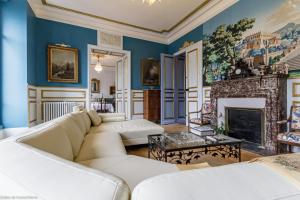 a living room with blue walls and a fireplace at Bonjour Guesthouse in Nevers