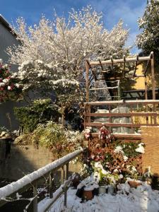 un jardín en la nieve con un árbol y flores en 小京都の宿 へうたん, en Nishio
