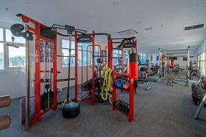 Fitness centrum a/nebo fitness zařízení v ubytování Royal Lotus Hotel Danang