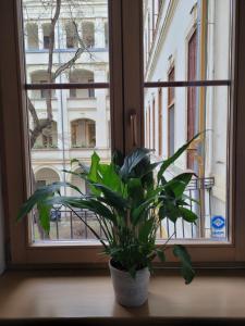 Fotografia z galérie ubytovania Liszt Studio v Budapešti