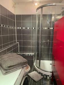 a bathroom with a shower and towels on a shelf at Appartement 2 pièces 6mn à pied du centre in Vence
