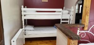 a room with three bunk beds in a room at La Ferme du Tilleul in Foissiat