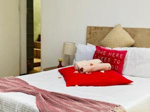 a bed with a stuffed pig on a red pillow at Su Casa Chase Valley VA in Pietermaritzburg +42 photos