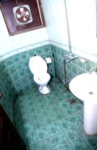 a green tiled bathroom with a toilet and a sink at Sapphire Inn Motel Lahore in Lahore