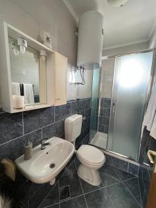 een badkamer met een toilet, een wastafel en een douche bij Apartmani Bakovic in Hvar