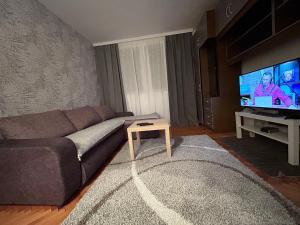 a living room with a couch and a flat screen tv at BGD apartman in Dušanovac (historical)