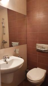 een badkamer met een wastafel en een toilet bij Почивна станция Витоша in Velingrad