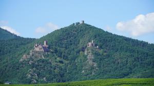ユナヴィールにあるMaison d'hôtes Sainte Hune Appartementsの城を背景に緑の丘