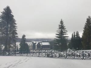 a snow covered yard with a fence and trees at Pensiunea Mountain Pearl in Deseşti