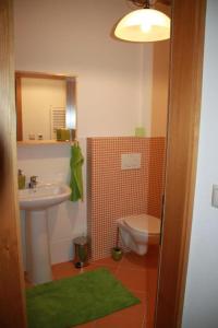 La salle de bains est pourvue d'un lavabo et de toilettes. dans l'établissement Drevenica Desina, à Terchová
