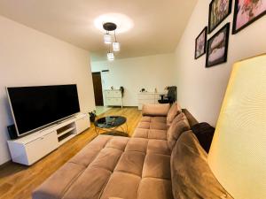 uma sala de estar com um sofá e uma televisão de ecrã plano em Luxurious Retreat 1BR Apartment with Netflix, Private Parking and self check in em Popeşti-Leordeni