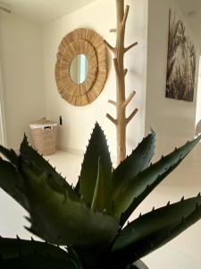 a large green plant in a room with a mirror at LES SUITES LOVE 3 SPA VUE MER PISCINe in Marseille
