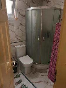 a bathroom with a shower and a toilet at kadıköy modada denize yakın oda in Istanbul