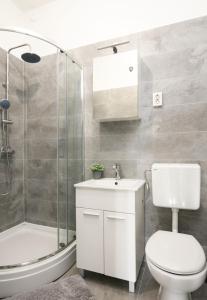 ein Bad mit einem WC, einem Waschbecken und einer Dusche in der Unterkunft Apartment Kristina in Trogir