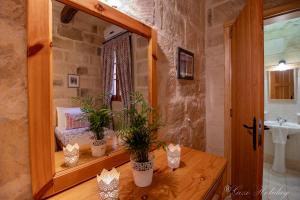 uma casa de banho com um espelho e algumas plantas sobre uma mesa em Ta' Salvu Holiday Home em Xaghra