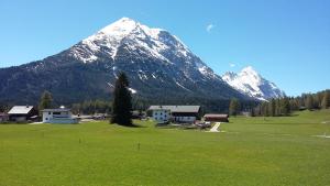 a snow covered mountain in front of a green field at Fewo 2 Haus am Lärchenhang Leutasch in Leutasch