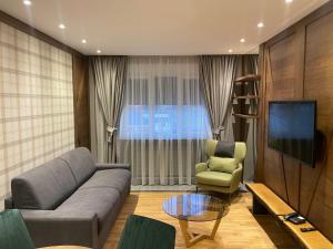 a living room with a couch and a chair and a television at Lavina MM2 in Kolašin