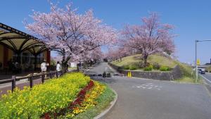 uma rua com árvores floridas e flores ao lado de uma estrada em Karin doo Hotel em Narita