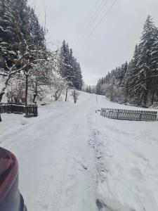 Chalet am Bach v zimě