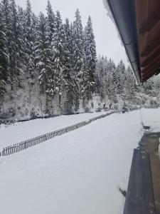Chalet am Bach v zimě
