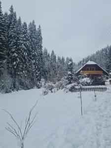 Chalet am Bach v zimě