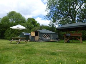 a park with a tent and a picnic table and an umbrella at Chestnut Yurt in Fernhurst