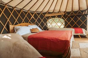 a bedroom with two beds in a yurt at Beech Yurt in Fernhurst
