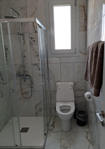 a bathroom with a shower and a toilet and a window at ICEBUILD APARTMENTS in Nicosia