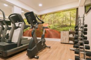 a gym with two tread machines and a large window at Catalonia Brussels in Brussels