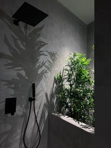 Fotografie z fotogalerie ubytování NordiK ve Valencii
