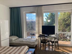 a living room with a television and a table with chairs at Apartman-Donau Tát in Tát