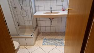ein kleines Bad mit einem Waschbecken und einem WC in der Unterkunft Das Ferienhaus am Ostseestrand in Gager