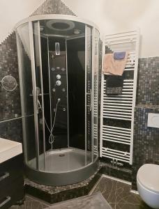 uma casa de banho com um chuveiro, um lavatório e um WC. em Studio confort Verviers em Verviers