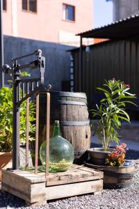 A garden outside Las Latas del Almendro 1