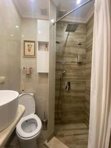 a bathroom with a shower and a toilet and a sink at City centre stylish apartament with private backyard in Sofia