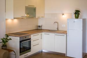 Kuchyň nebo kuchyňský kout v ubytování Apartment Alex 1