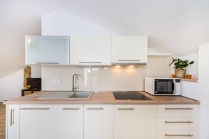 Kuchyň nebo kuchyňský kout v ubytování Apartment Alex 1