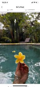 a person holding a yellow flower in a swimming pool at Villa Gekyu in Jimbaran