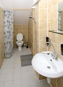 uma casa de banho com um lavatório branco e um WC. em Horská Chata Sabinka em Malá Morávka