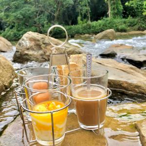 Drikke på Backyard Glamping&Cafe’ Palian