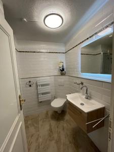 a bathroom with a toilet and a sink and a mirror at Boddenblick Zingst - Ostseebad - Fischland Darß - 18374 in Zingst