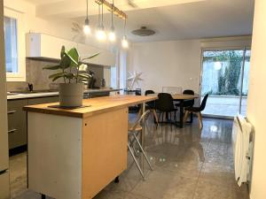 a kitchen with a table with a potted plant on it at Appartement tout confort avec terrasse in Reims