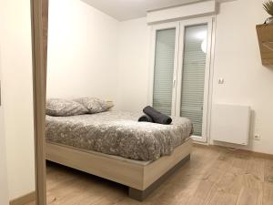 a bedroom with a bed and a large mirror at Appartement tout confort avec terrasse in Reims