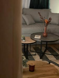 Νύμφες Σαλέ Ιαίρα : غرفة معيشة مع أريكة وطاولتين