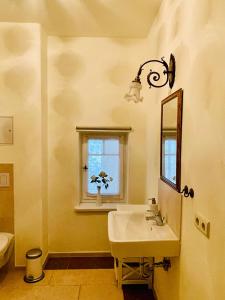 a bathroom with a sink and a window and a mirror at Jugendstilvilla Rosenthal in Rosenthal
