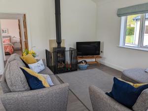 a living room with two chairs and a fireplace at Woodland Lodge in Lisnaskea