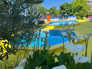Bazén v ubytovaní Hotel Senior alebo v jeho blízkosti